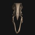07.jpg Terror bird- birds terror skull in 3D
