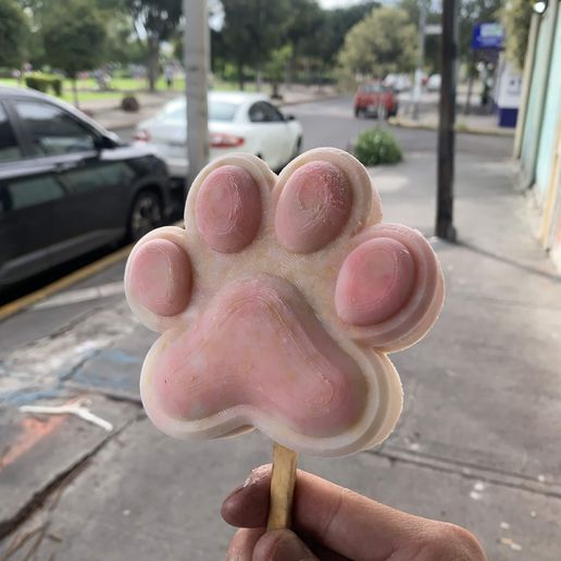 Contramolde para Silicona Huella de Perro🐾