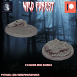 Diapositiva25.png Wild Forest Set (25 Pre-supported miniature bases +2 bonus model)