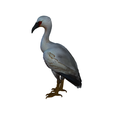 model-1.png white heron bird