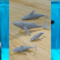 Whales.jpg Archivo STL FAMILIA BALLENAS PARA DIORAMA ACUÁTICO・Objeto imprimible en 3D para descargar