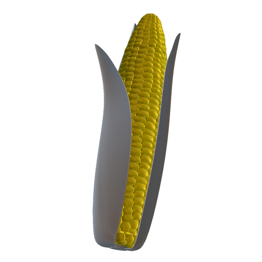 🌽 Realistic Corn Cob・ STL File for 3D printing・Cults