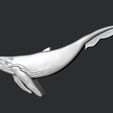 screenshot001.jpg STL models for 3D printing and CNC whale
