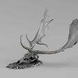Render_01_030040.jpg 001731 Fallow Deer Skull – Raw 3D Scan