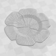 WhatsApp-Image-2024-03-15-at-4.15.15-PM-1.jpeg Leaf Dish / Mold