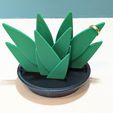 1000012378.jpg Aloe Vera Plant Jewelry Ring Holder