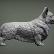 corgi-3d-model-85583d0da5.jpg Modelo de impressão 3D do Welsh Corgi Pembroke