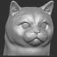 3.jpg British Shorthair cat head for 3D printing