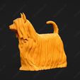 594-Australian_Silky_Terrier_Pose_03.jpg Australian Silky Terrier Dog 3D Print Model Pose 03