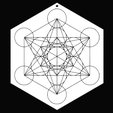 1.png The Metatron Cube