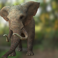 0_00071.png DOWNLOAD Elephant 3d model animated for blender-fbx-unity-maya-unreal-c4d-3ds max - 3D printing Elephant - Mammuthus - ELEPHANT