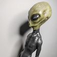 IMG_20230809_220837.jpg Alien