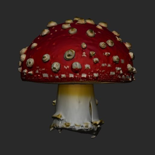 mushroom3.jpg cogumelo