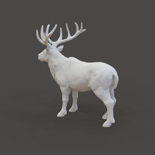 Deer_1.3.jpg Riesenhirsch