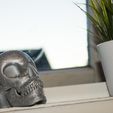 IMG_4728.JPG Skull