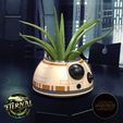 BB-8-DROID-PLANTER-STAR-WARS-ETERNAL-1.jpg 3D file BB-8 DROID PLANTER - STAR WARS - ETERNAL・3D printable model to download