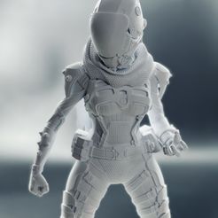 IMG_8209.JPEG Apex Legends Wraith | Void Walker | High Detail Figure