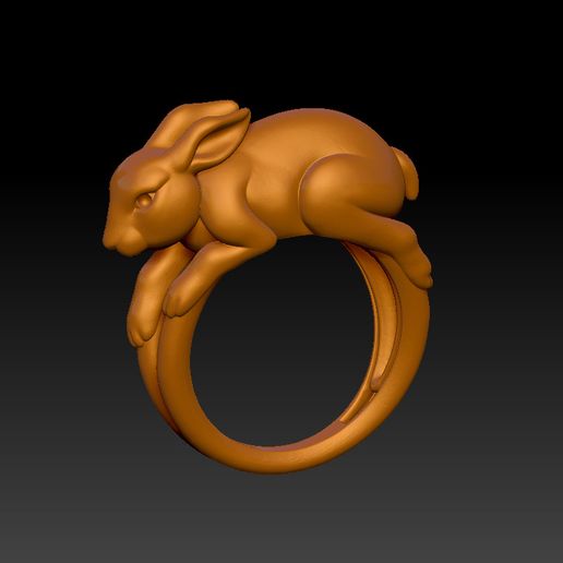 rabbit ring 3D model