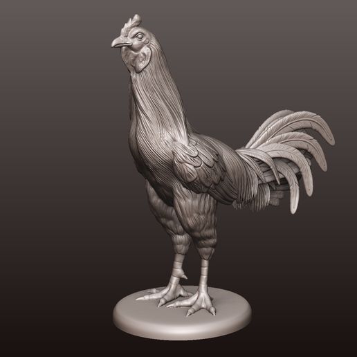 Rooster