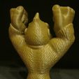 Donkey Kong 3.JPG Donkey Kong (Easy print no support)