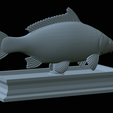 carp-statue-26.png fish carp / Cyprinus carpio statue detailed texture for 3d printing
