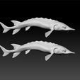 a1.jpg Fish - fish for game - unity3d - ue5-ue6 - high poly and lowpoly