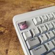 My8K-z-9_VI.jpg Moo Deng meme keycap