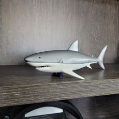 20221229_131650.jpg White Shark stand