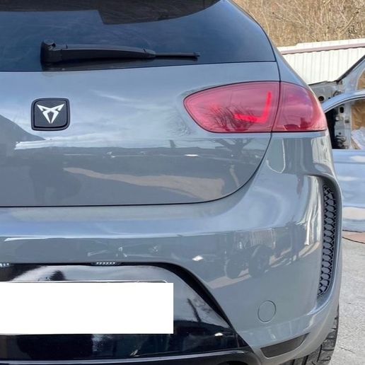 asdasdasdasdasdasdasd2e23.jpg Seat Leon Cupra Aero back grille