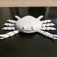 Happy-Crab1.jpg Crab