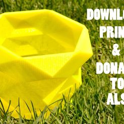 alsbucket.jpg Descargar archivo STL gratis Cubo de hielo impreso en 3D para la ELA・Modelo para la impresora 3D