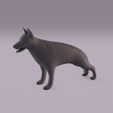 GShepherd_0008.jpg Dogs bundle