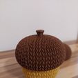 20251013_181713.jpg Knitted Acorn Light