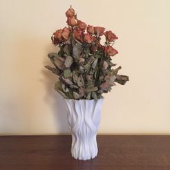 Archivo STL Jarrones para flores secas Decoración Living 🌺・Idea de  impresión 3D para descargar・Cults