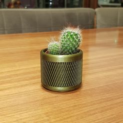1.jpg Datei 3D FLOWER POT M6・Design für 3D-Drucker zum herunterladen
