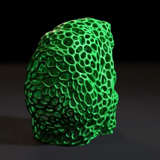 10004.jpg Черепаха Вороного