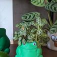 PXL_20230910_072442746.jpg Cute frog planter
