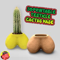 poster.jpg Fichier STL planteur de cactus testicules・Design pour imprimante 3D à télécharger