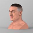 untitled.274.jpg John Cena bust ready for full color 3D printing