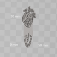 0000.png ANATOMICAL HEART MARKBOOK