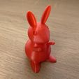 Petit lapin-principal.jpg Small & mini rabbit