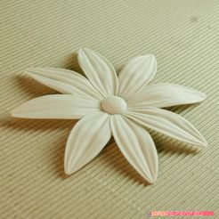 01b.jpg flowers: Aster - 3D printable model