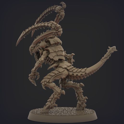 nids.1135.jpg ORIGINAL PLASTIC  FREE LICTOR