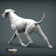 rhodesian-ridgeback-running6.jpg rhodesian ridgeback running 3D printed model