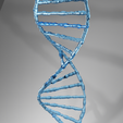 untitled.png DNA Model