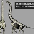 cover.jpg Brachiosaurus: Complete 3D anatomy