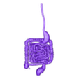 INTESTINE final.stl 肠蠕动动画混合