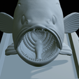 White-grouper-open-mouth-statue-60.png fish white grouper / Epinephelus aeneus open mouth statue detailed texture for 3d printing