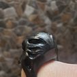 20210902_133330.jpg RAVEN RING