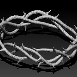 1.jpg Crown of thorns, Coroa de espinhos